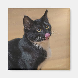 Ein guter Lick painterly Magnet
