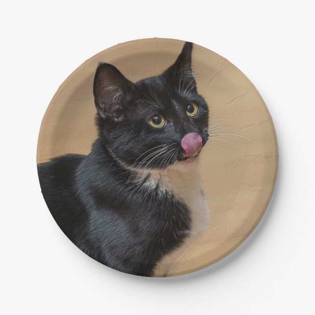 Ein guter Lick painterly Pappteller (Vorderseite)