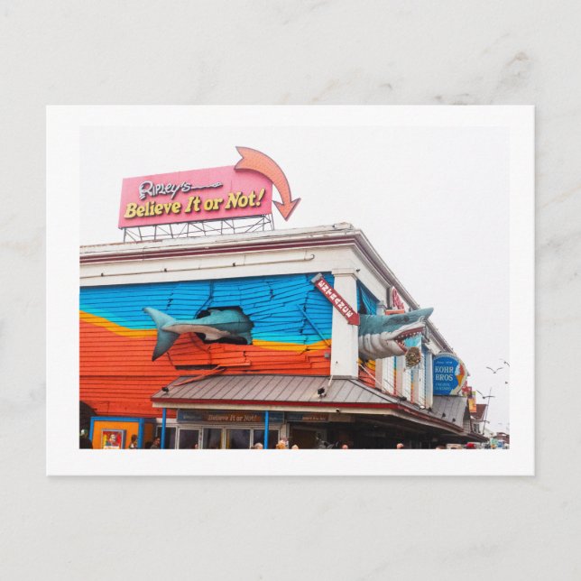 Ein Hai Postkarte (Vorderseite)