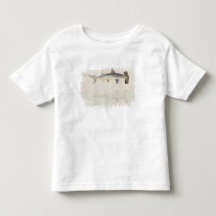 Ein Hammer-köpfiger Haifisch, Loheia, früher Kleinkind T-shirt