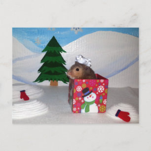 Ein Hamstery-Geschenk! Postkarte