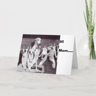 Ein Happy Greyhound mit ihren Welpen '55 von Nat F Karte