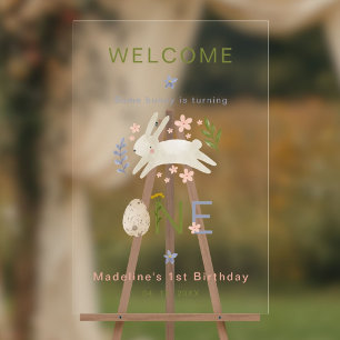 Ein Häschen wird Eins Mädchen 1. Geburtstagsfeier Acrylschild