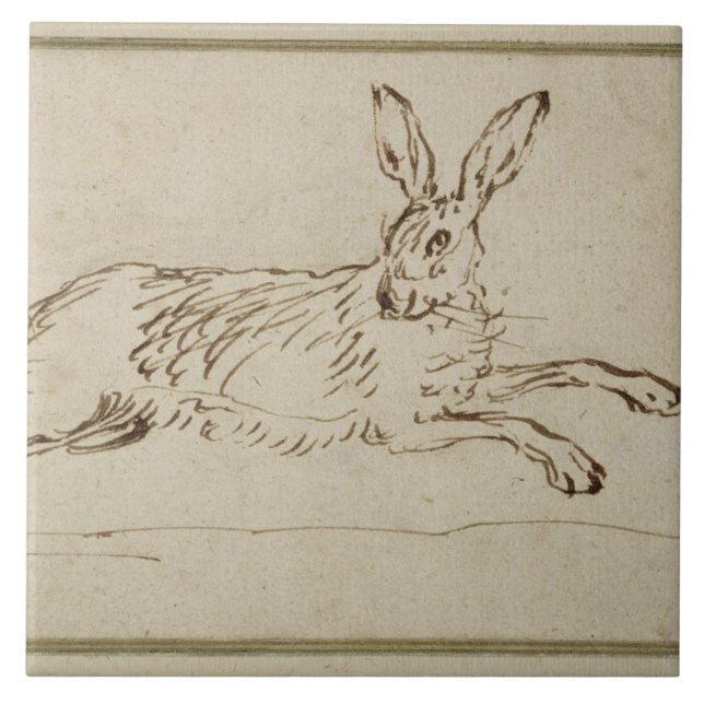 Ein Hase-Betrieb, wenn die Ohren (Stift u. Tinte Fliese (Vorderseite)