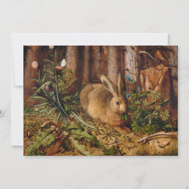 Ein Hase im Wald | Hans Hoffmann (Vorderseite)