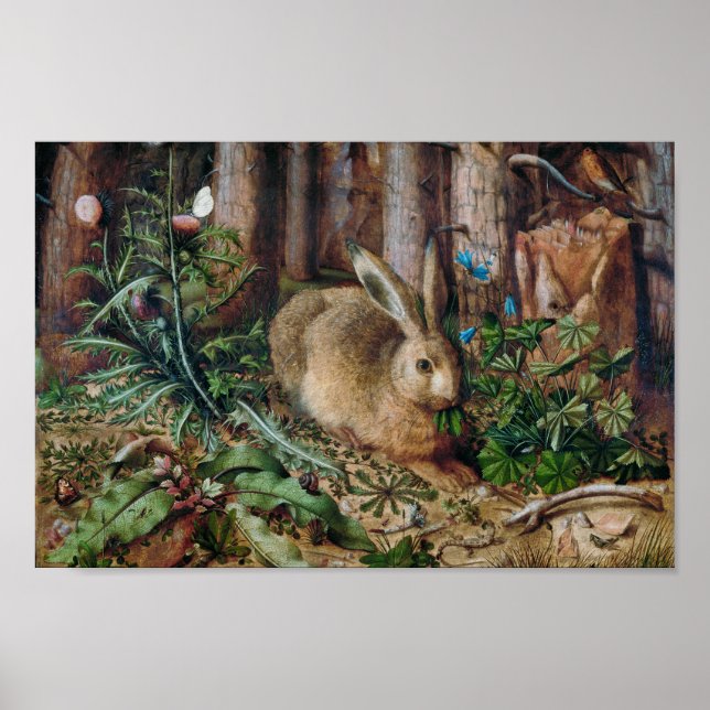 Ein Hase im Wald Poster (Vorne)