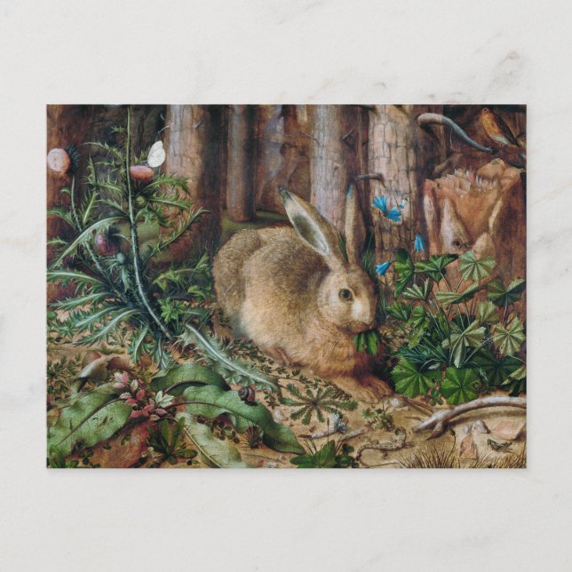 Ein Hase im Wald Postkarte (Vorderseite)