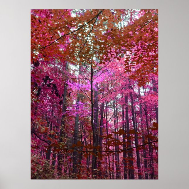 Ein Hauch von Rosa Poster (Vorne)