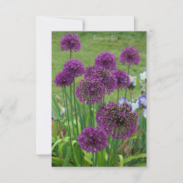 Ein Haufen Alliums- Mitteilungskarte