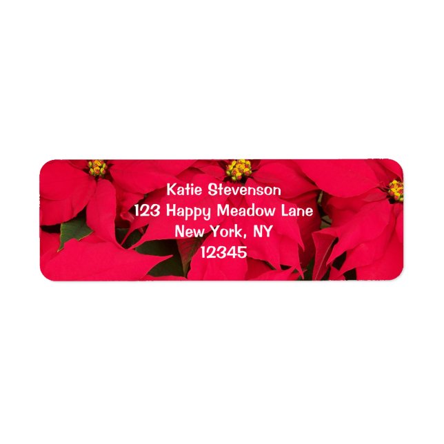 Ein Haufen farbenfroher Weihnachtspoinsettias (Vorne)