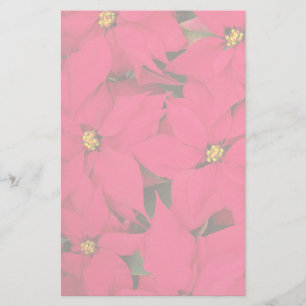 Ein Haufen farbenfroher Weihnachtspoinsettias Briefpapier