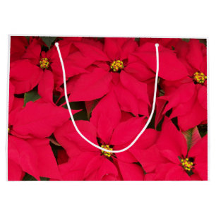 Ein Haufen farbenfroher Weihnachtspoinsettias Große Geschenktüte