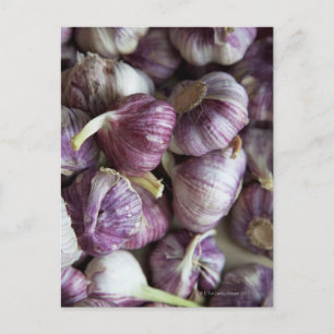 ein Haufen frischen Knoblauchs, der zum Verkauf in Postkarte