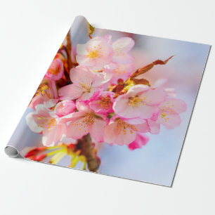 Ein Haufen köstlicher und süßer Sakura-Blume Geschenkpapier