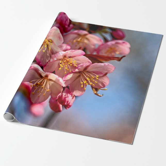 Ein Haufen süßer Kirschblüten aus Sakura Geschenkpapier (Ungerollt)