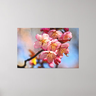 Ein Haufen süßer Sakura-Kirschblüten im Frühling Leinwanddruck