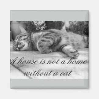 Ein Haus ist keine Zuhause ohne Katzenmagnet! Magnet