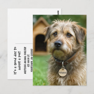 Ein Haustier adoptieren Postkarte