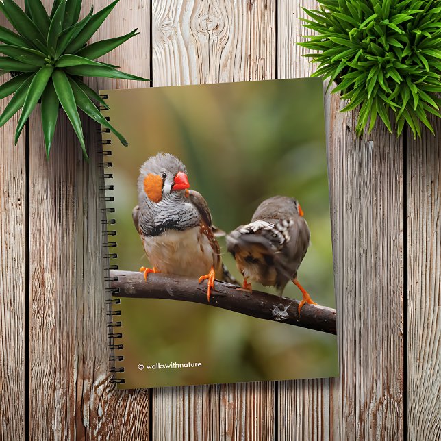 Ein heikles Paar Zebra Finches Notizblock (Cheeky Pair of Zebra Finches Journal Cover Photo)