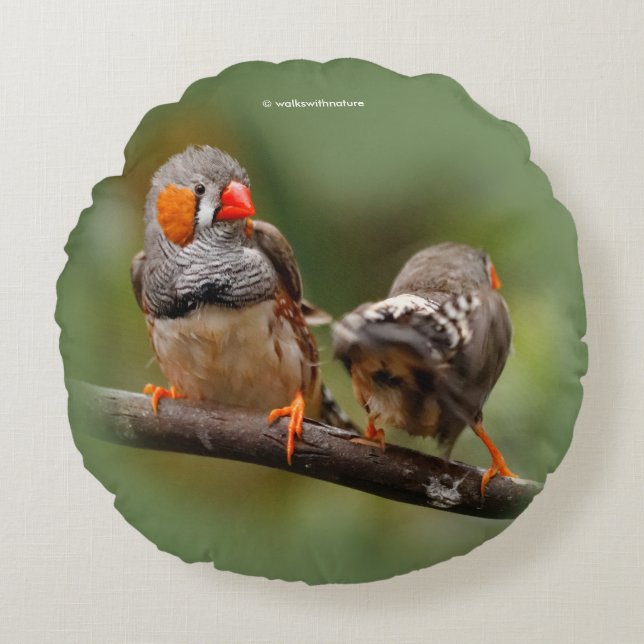 Ein heikles Paar Zebra Finches Rundes Kissen (Vorderseite)