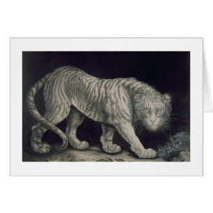 Ein herumstreichender Tiger (Bleistift auf Papier)