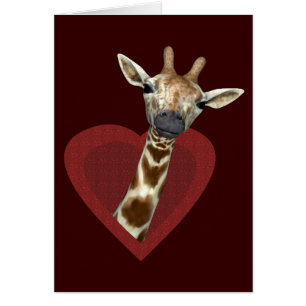 Ein Herz für Giraffen