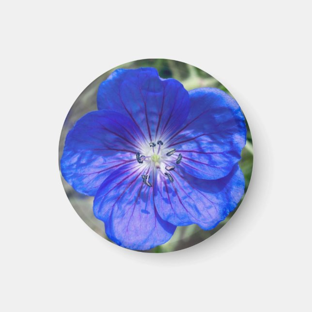 Ein Hinweis auf Z "Blue Floral"-Magnet Magnet (Vorne)
