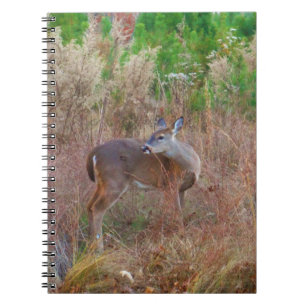 Ein Hirsch im großen Gras Notizblock