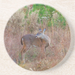 Ein Hirsch im großen Gras Sandstein Untersetzer