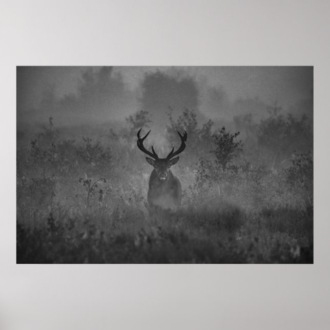 Ein Hirsch im Nebel Poster (Vorne)