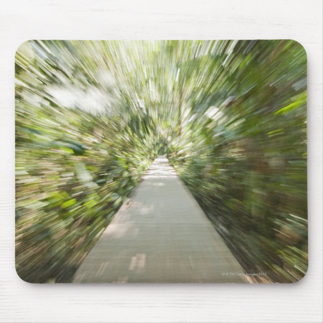 Ein hölzerner Weg durch den Regenwald, in Mousepad (Vorne)