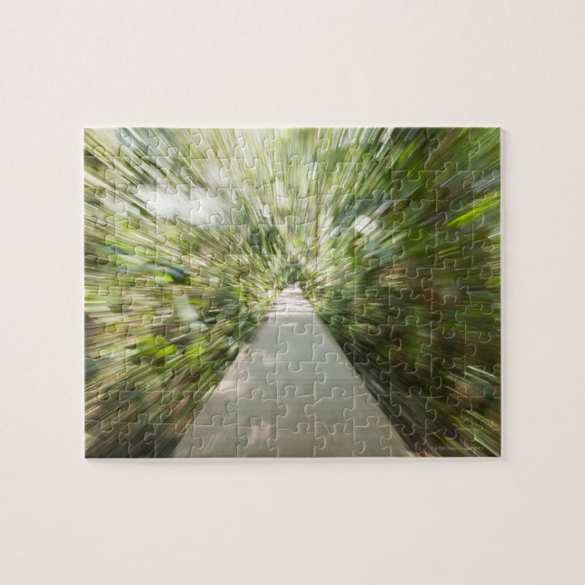 Ein hölzerner Weg durch den Regenwald, in Puzzle (Horizontal)
