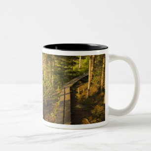 Ein Holzweg über den Acadia Nationalpark Maine Zweifarbige Tasse