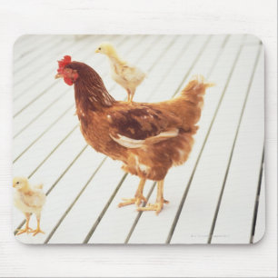 Ein Huhn und zwei Küken auf einem hölzernen Bode Mousepad