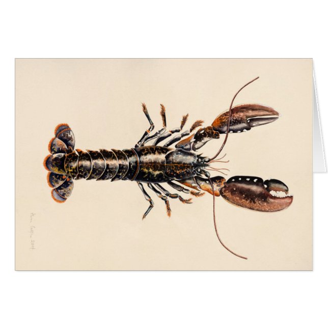 Ein Hummer von Solva (Vorderseite (Horizontal))