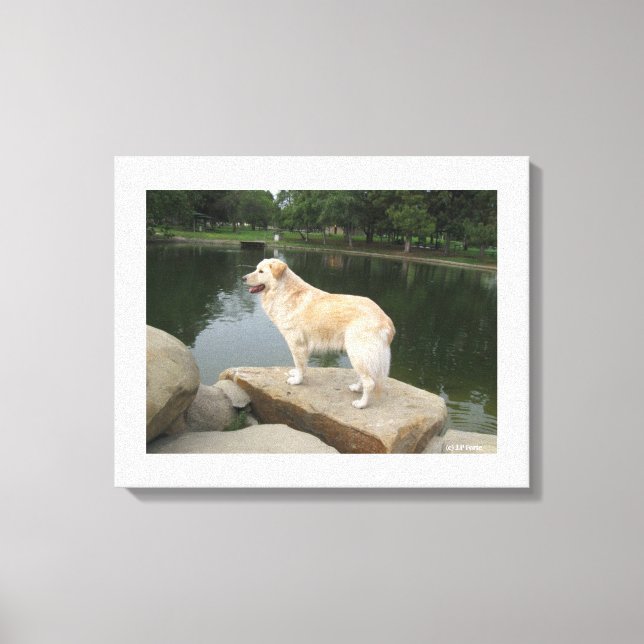 Ein Hund an einem Teich Leinwanddruck (Vorderseite)