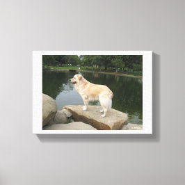 Ein Hund an einem Teich Leinwanddruck