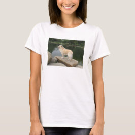 Ein Hund an einem Teich T-Shirt