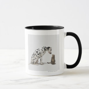Ein Hund, der eine Katze betrachtet Tasse