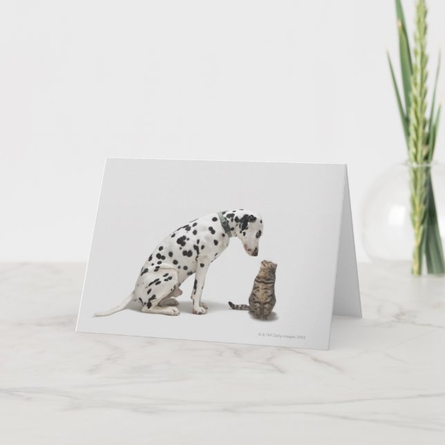 Ein Hund, der eine Katze sieht Karte (Vorderseite)