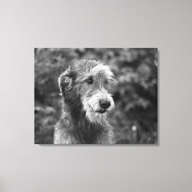Ein Hund draußen. Leinwanddruck (Vorderseite)