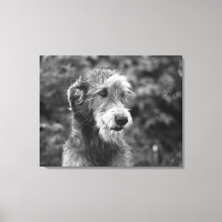 Ein Hund draußen. Leinwanddruck