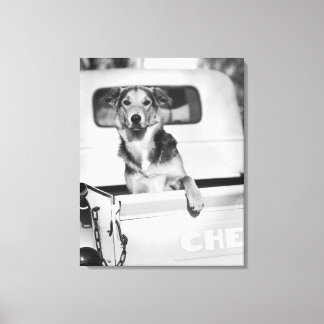 Ein Hund im Auto. Leinwanddruck