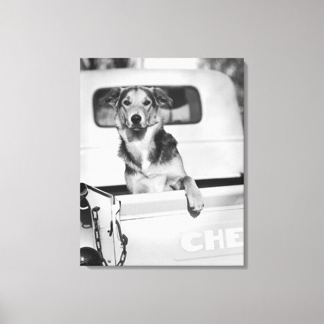 Ein Hund im Auto. Leinwanddruck (Vorderseite)