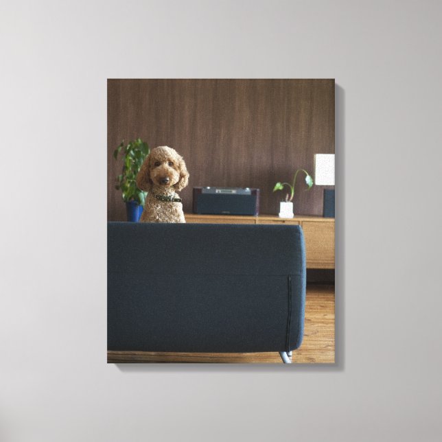 Ein Hund im Fahrzimmer Leinwanddruck (Vorderseite)