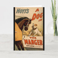 Ein Hund in einem Vintagen Theaterposter