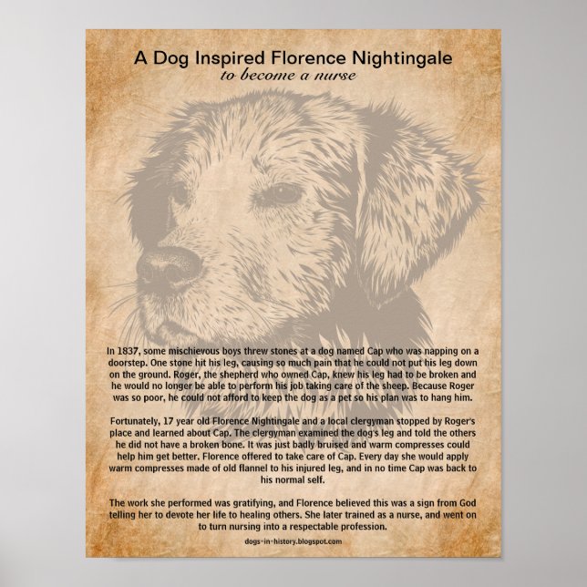 Ein Hund Inspirierte Florence Nightingale, Kranken Poster (Vorne)