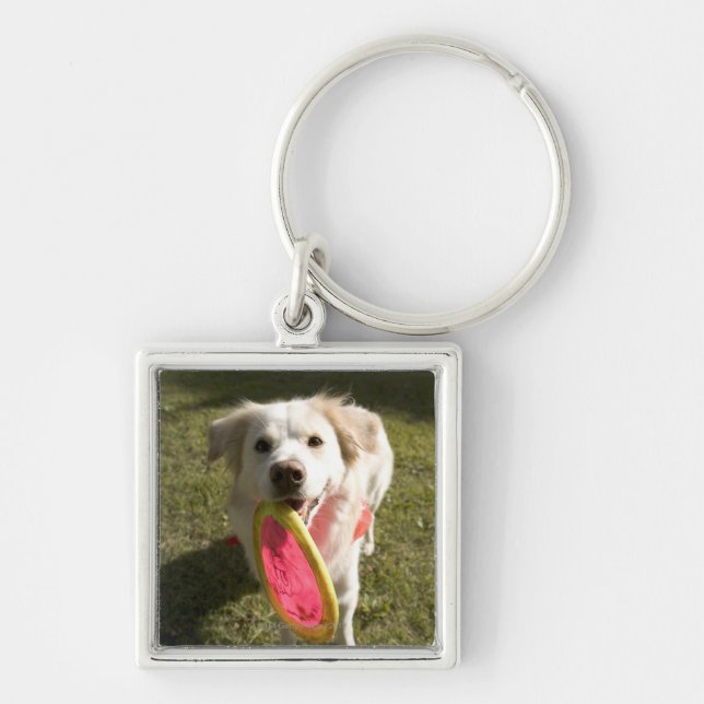 Ein Hund mit einem Frisbee Schlüsselanhänger (Vorne)