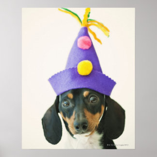 Ein Hund mit einem lustigen Hut Poster