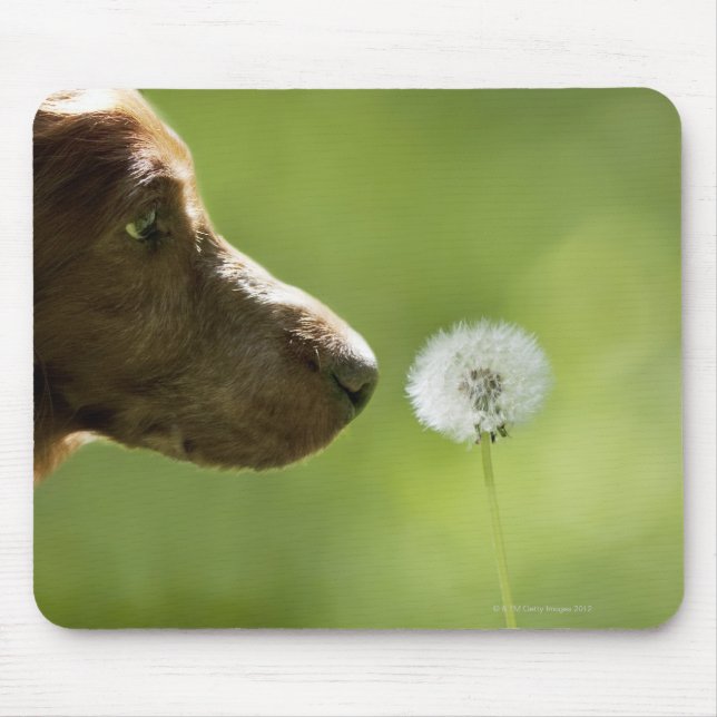Ein Hund und ein Lüster. Mousepad (Vorne)